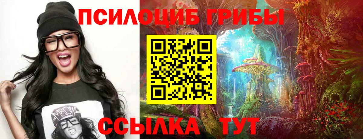 Галлюциногенные грибы Psilocybe Лесосибирск